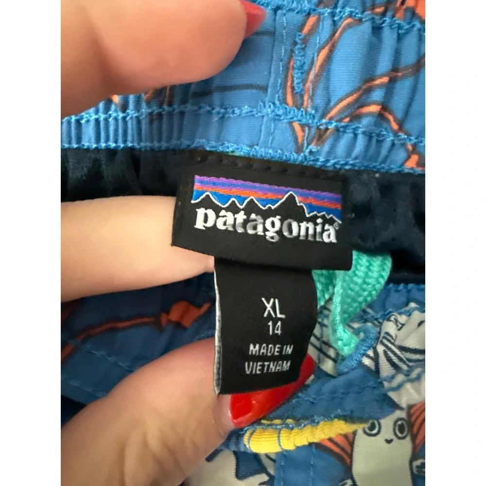 Patagonia baggies swim